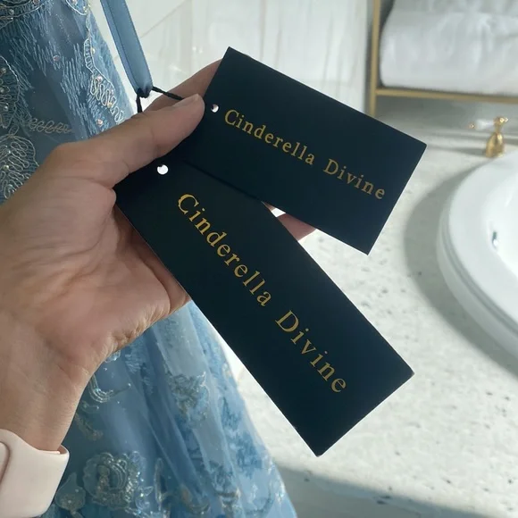 Blue Cinderella Dress - Picture 8 of 8